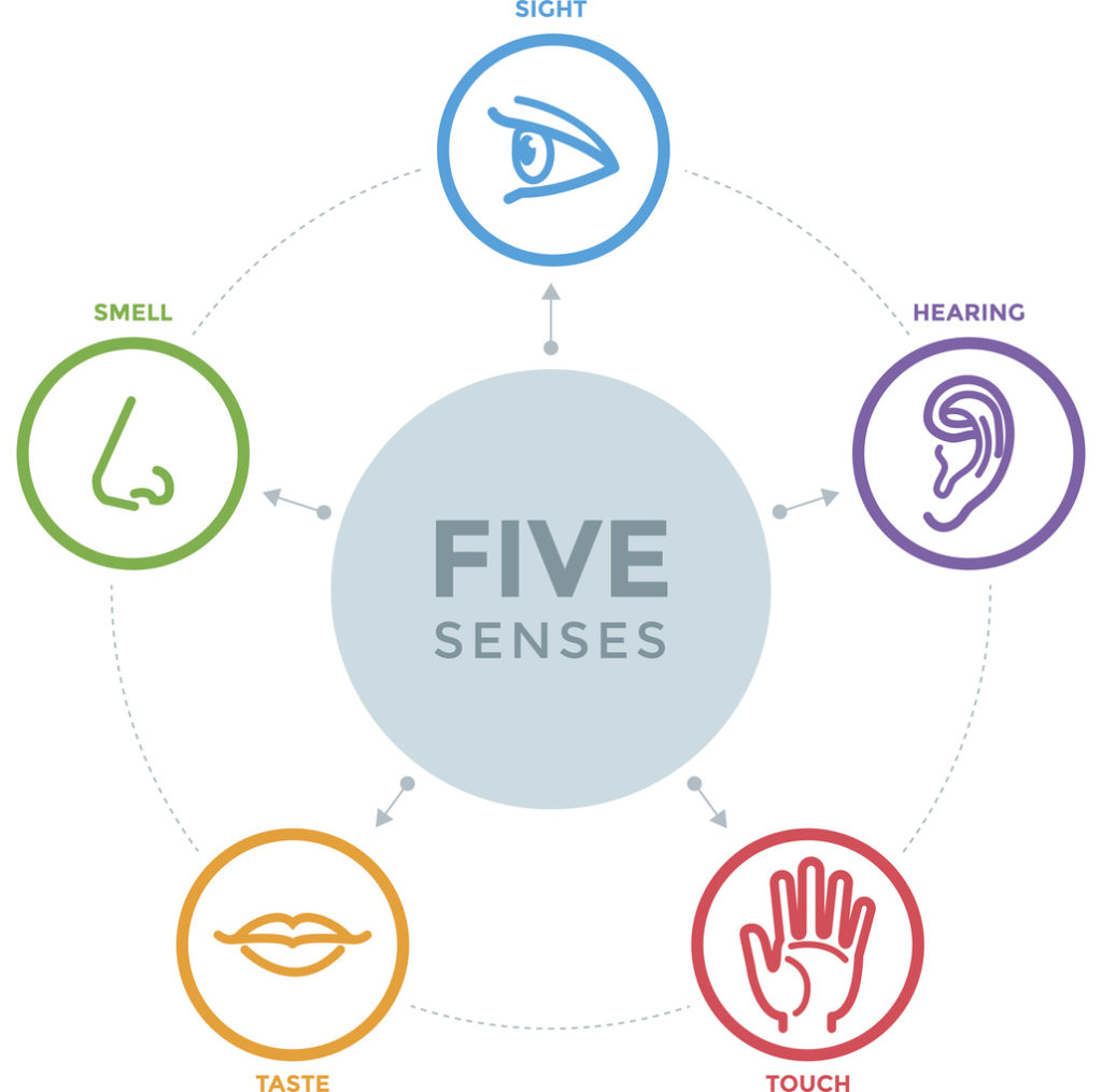 engaging the five senses in event planning - washington, DC event planner JDC Events