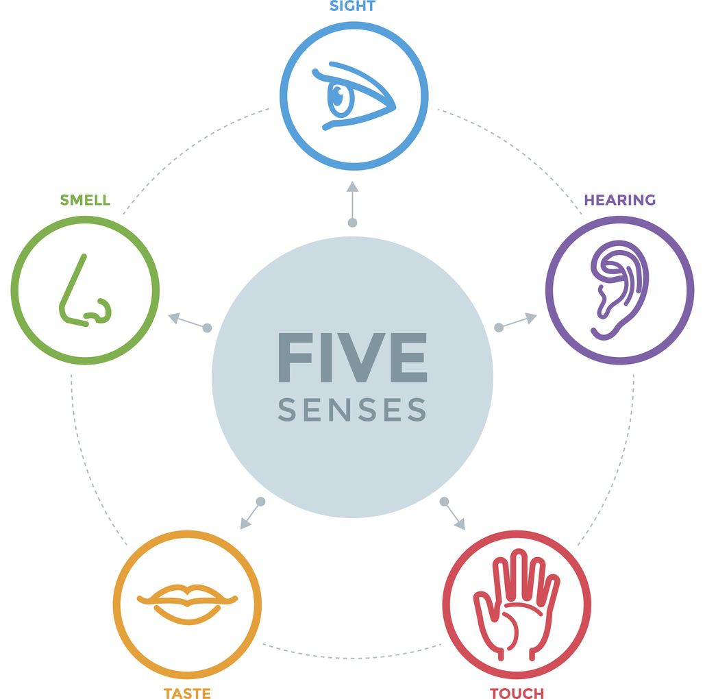 Want to Create a Memorable Event? Think: 5 Senses - JDC Events